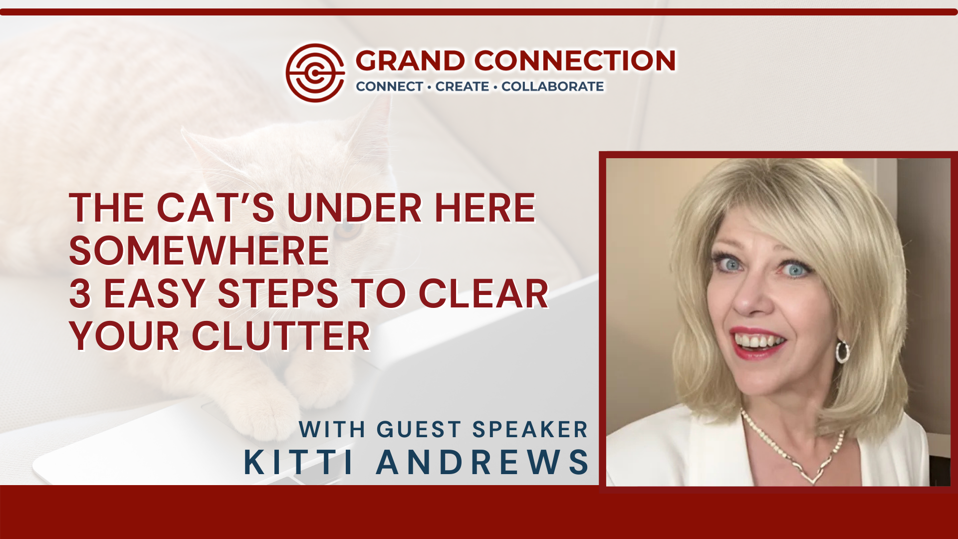 Member Mingle: The Cat’s Under Here Somewhere: 3 Easy Steps to Clear Your Clutter With Kitti Andrews | Feb 5, 2025