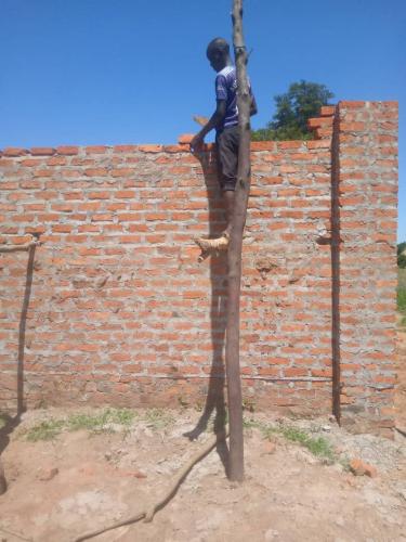build